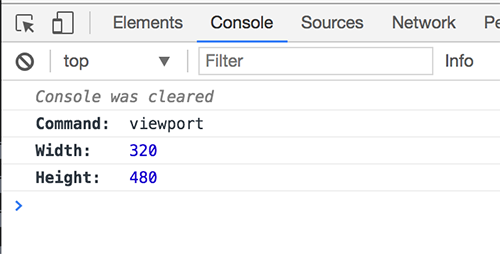 Console Log viewport